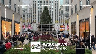 2023 Rockefeller Center Christmas tree arrives in NYC [upl. by Crandale]