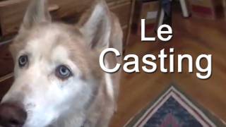 LE CASTING  PAROLE DE CHIEN [upl. by Etiuqal968]