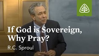 If God is Sovereign Why Pray Prayer with RC Sproul [upl. by Helen]