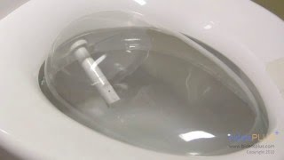 How Does a Bidet Work  bidetsPLUScom [upl. by Bethanne]