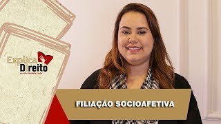 Explica Direito Filiação Socioafetiva  2019 [upl. by Ziguard593]