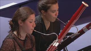 Beethoven Symphony No 4 bassoon Solo [upl. by Grote]