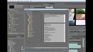 Adobe Creative Suite 5 Production Premium Overview [upl. by Nurat]