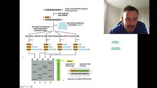 DNA Sequencing Methods OCR Biology A Level 631 [upl. by Heilman]