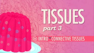 Tissues Part 3  Connective Tissues Crash Course Anatomy amp Physiology 4 [upl. by Eyssej]