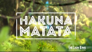 Hakuna Matata  Disneys THE LION KING Official Lyric Video [upl. by Derrick]