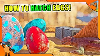 HOW TO HATCH EGGS IN ARK  4 METHODS  Ark Survival Evolved Beginners Guide [upl. by Eilema]