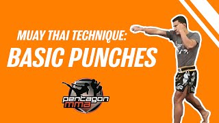 Muay Thai Technique  Basic Punches [upl. by Tdnaltroc]