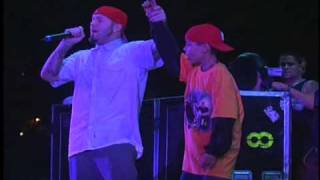 Limp Bizkit  My Way LIVE Rock im Park 2001 [upl. by Bekelja676]