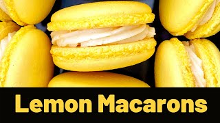 Lemon Macarons  Lemon Zest Buttercream Filling  French Method  Easy Beginner Macaron Recipe [upl. by Glynias675]