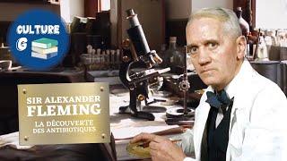 Alexander Fleming la révolution des antibiotiques [upl. by Grodin763]