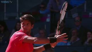 Top 15 Fernando Verdasco MONSTER Forehands 😱 [upl. by Adnahsam]