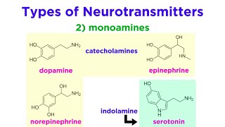 Neurotransmitters Type Structure and Function [upl. by Yona57]