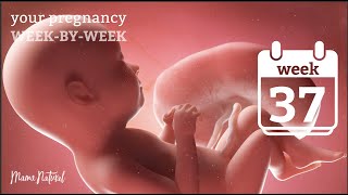 35 WEEKS PREGNANT PRETERM LABOR SCARE  3 CM DILATED  80 EFFACED [upl. by Gascony]