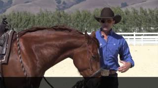 The difference between a hackamore and a rope halter  or sidepull [upl. by Rosmunda]