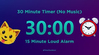 30 minute Timer  Countdown No Music [upl. by Danuloff612]