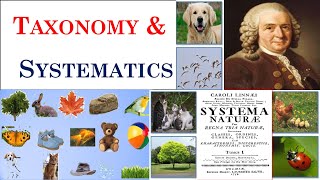 Taxonomy  Systematics  Carolus Linnaeus  Part 1 [upl. by Gaye]