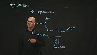 454 pyrosequencing [upl. by Bryner]