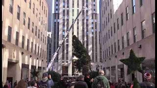 El Rockefeller Center se prepara para el encendido de su árbol de Navidad [upl. by Phelgon464]