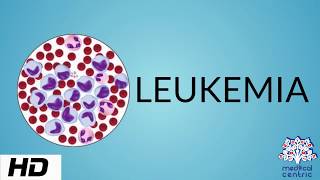 Leukaemia vs Lymphoma  An introduction [upl. by Verine765]