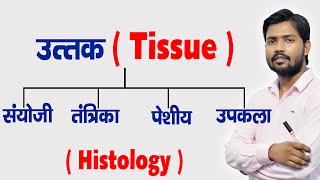 Types of Human Tissue  Tissue Functions  Histology in Hindi [upl. by Rodablas]