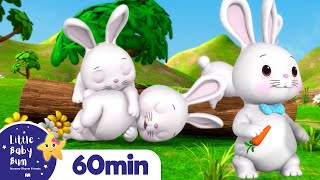 Sleeping Bunnies  LittleBabyBum  Nursery Rhymes for Babies [upl. by Norina]