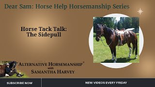 Horse Tack Talk the Sidepull Dear Sam Horse Help [upl. by Vassell34]