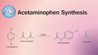 Acetaminophen Synthesis Mechanism  Organic Chemistry [upl. by Judson]