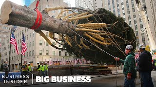 How The 75Ft Rockefeller Christmas Tree Makes It To NYC  Big Business [upl. by Najed]