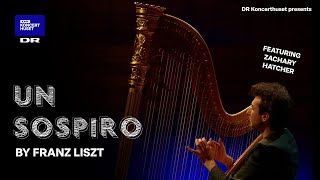 Franz Liszts Un Sospiro  Solo Harp Live [upl. by Salokcin]