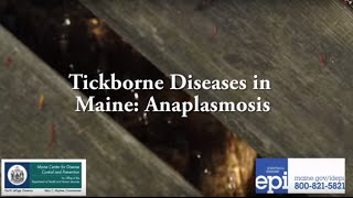 Tickborne Diseases in Maine Anaplasmosis [upl. by Eemyaj]