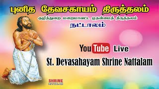 StDevasahayam Shrine Nattalam [upl. by Auqinal]