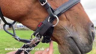 Zilco Sidepull Bridle [upl. by Nadya]