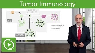 NonHodgkin Lymphoma  What you need to know [upl. by Aleik]