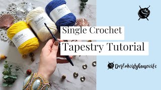 Single Crochet Tapestry Stitch Tutorial [upl. by Crisey530]