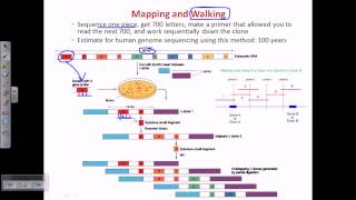 Genome sequencing [upl. by Fritzie]