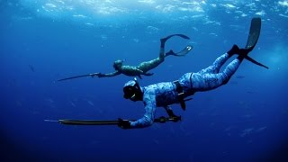 spearfishing new caledonia  plongée sous marine nouvelle calédonie [upl. by Roehm]