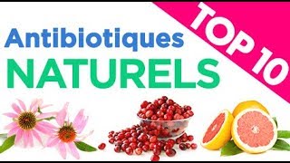 Top 10 des Antibiotiques Naturels [upl. by Ahgem]