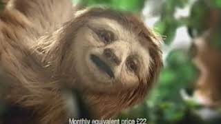 Specsavers Sloth Advert 2002 [upl. by Spalding]