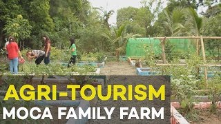 Agri tourism MoCa Family Farm Agribusiness Ideas in the Philippines [upl. by Ainer895]