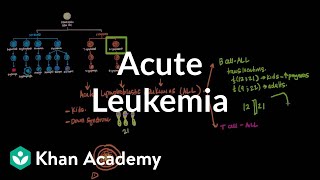 Non Hodgkins Lymphoma  Types and Pathophysiology [upl. by Enier]