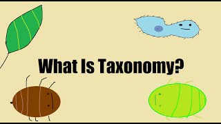 What is Taxonomy [upl. by Adranoel]