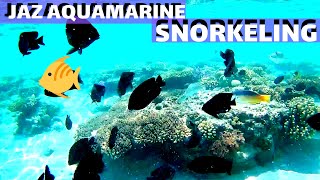 Snorkeling amp feeding the fish at Jaz Aquamarine Hurghada 🇪🇬 Egypt 🐠 🐟 🐡 [upl. by Sucramat]