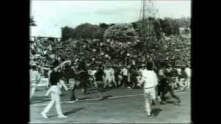 Football Hooligan Documentary [upl. by Carder]