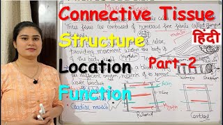 Connective Tissue in Hindi  Part2  Structure  Locations  Types  Functions [upl. by Giavani948]