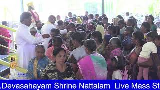 StDevasahayam Shrine Nattalam [upl. by Adikam]