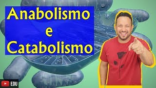 Anabolismo e Catabolismo  Bioenergética  Aula 1 [upl. by Aciretnahs]