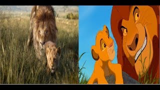 The Lion King 19942019 Pouncing lesson [upl. by Lerat]