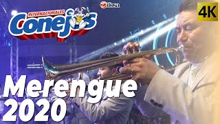 Merengue 2020  Internacionales Conejos [upl. by Ahsiekat]