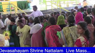 StDevasahayam Shrine Nattalam [upl. by Eesdnil]